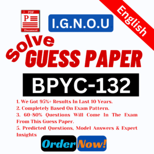 BPYC-132 E