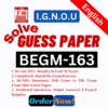 BEGM-163 E