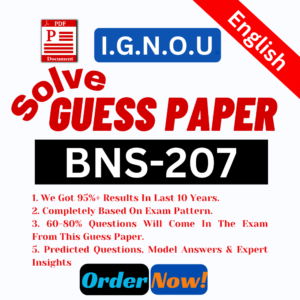 BNS-207-107 E