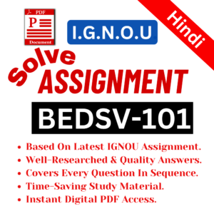 BEDSV-101 H 2025-2026